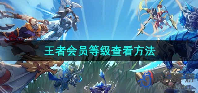 《王者荣耀》会员等级查询攻略