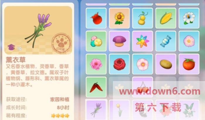 摩尔庄园手游：探索薰衣草的神秘用途