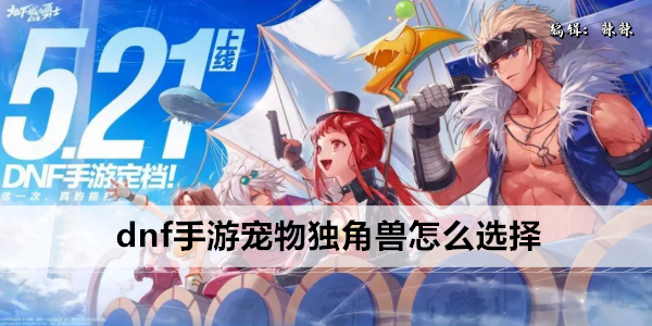 DNF手游独角兽宠物选择指南