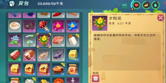 《探索夕阳花：在《创造与魔法》中的位置揭秘》