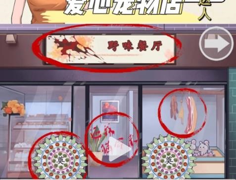 《宠物店探险：达人攻略揭秘》