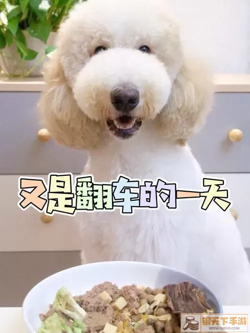 独自成名  在毛茸茸庇护下生存挑战