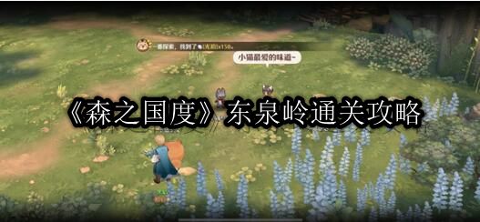 《探寻神秘森林：东泉岭冒险指南》