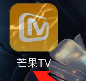 如何查看芒果TV芒果卡的充值信息