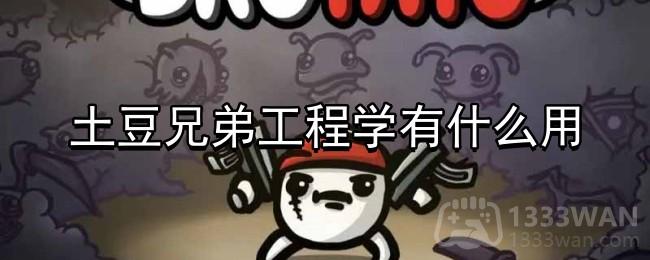 探索《土豆兄弟》项目在工程领域的应用与影响